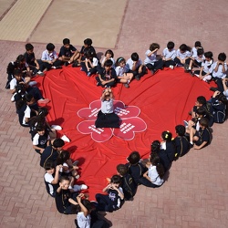 World Heart Day, Grade 1-4