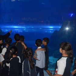 Visit to Aquarium, Grade 2 