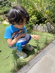 Rashed AlShaer KG2C - How animals and plants change the environment