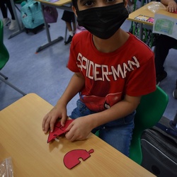 World Heart Day, Grade 1-4