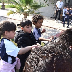 Academic Year 2025-2026